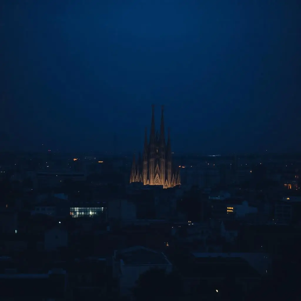 Barcelona — driver services by LOCALS